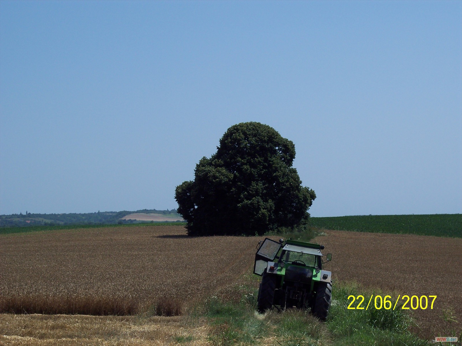 Picture 017