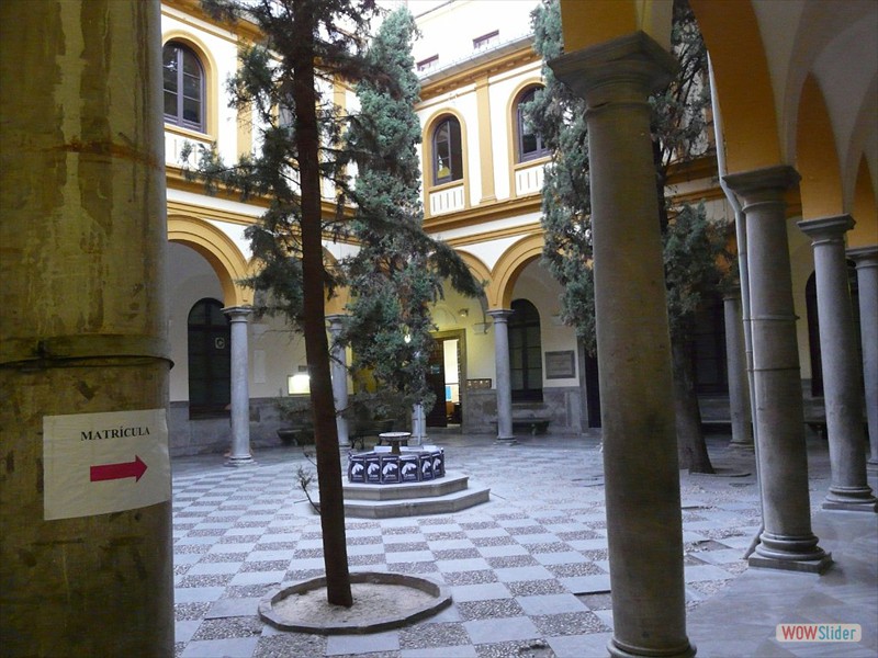 P1030581