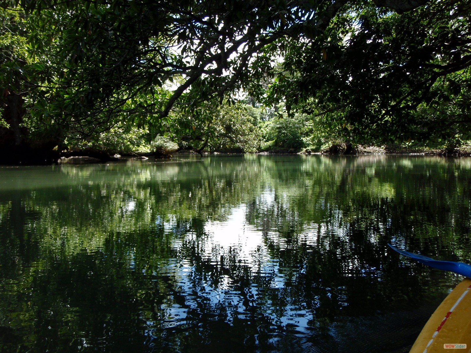 2° part - Kayaking with Ecotours  (8)