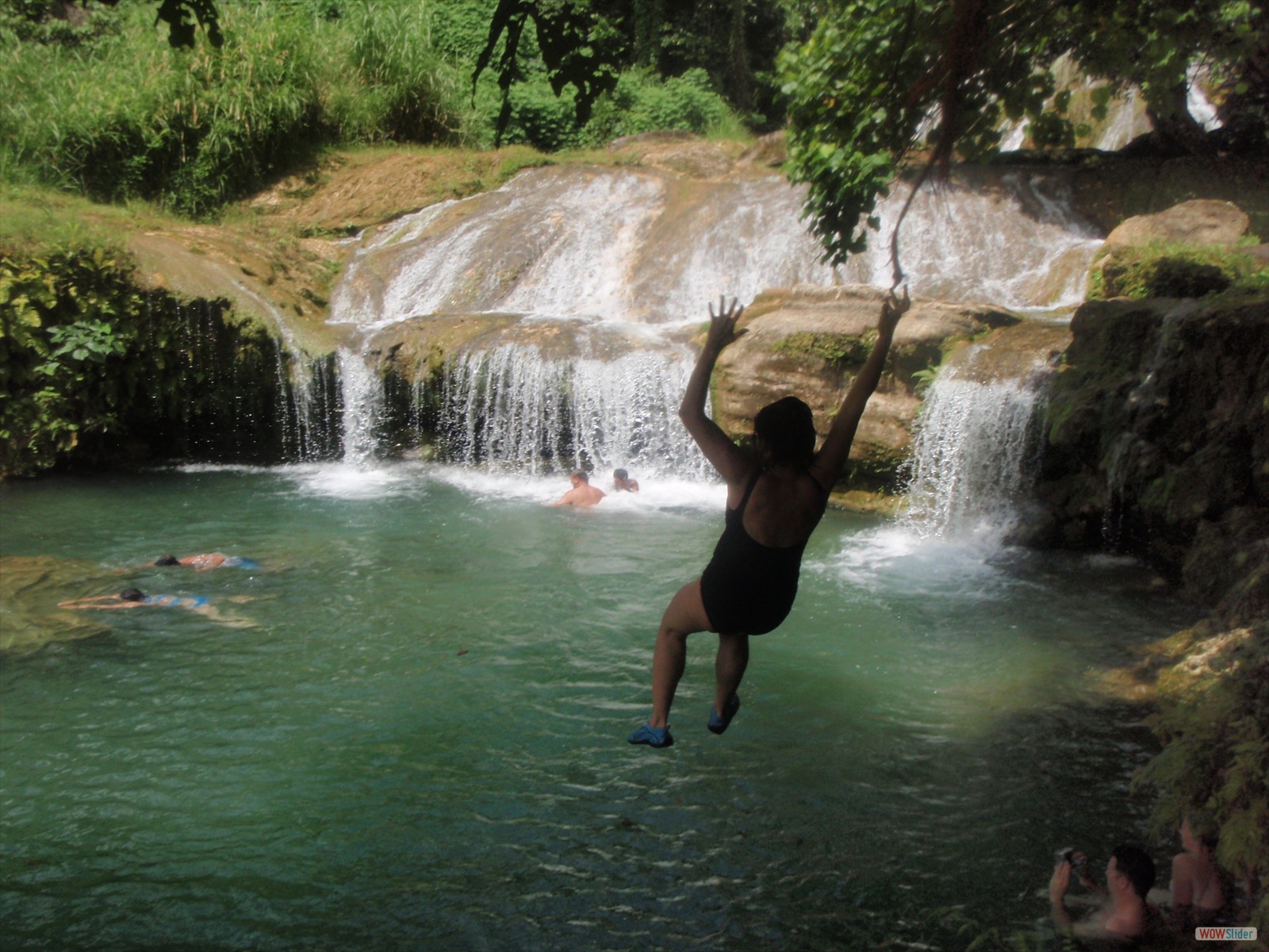 falls le 29 12 008