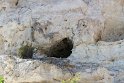 IMG_1671