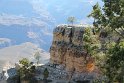 IMG_1695