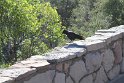 IMG_1716