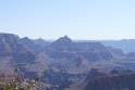 IMG_1731