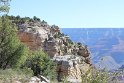 IMG_1732