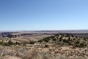 IMG_1746