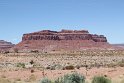 IMG_1781