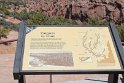 IMG_1796