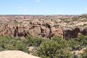 IMG_1798