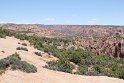 IMG_1799