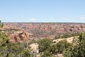 IMG_1801
