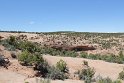 IMG_1806