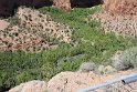 IMG_1812