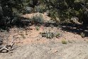 IMG_1813