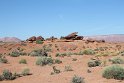 IMG_1842