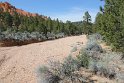 IMG_1973
