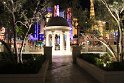 IMG_2231