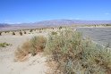 IMG_2489