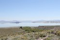 IMG_2534
