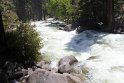 IMG_2619