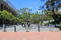 IMG_2677