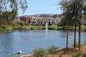 IMG_2887