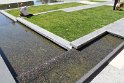 IMG_2934