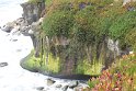 IMG_3078