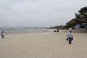 IMG_3087