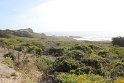 IMG_3110
