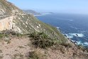 IMG_3124
