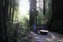 IMG_3132