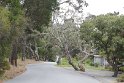 IMG_3190