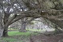 IMG_3205