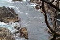 IMG_3217