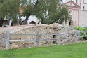 IMG_3431