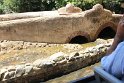 IMG_3558