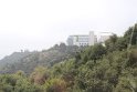 IMG_3652