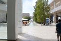IMG_3662