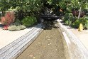 IMG_3700