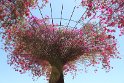 IMG_3704