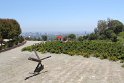 IMG_3706