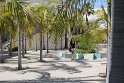 IMG_3732