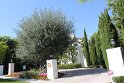 IMG_3738