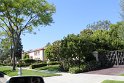 IMG_3741