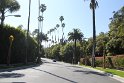 IMG_3748