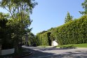IMG_3750