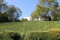 IMG_3752