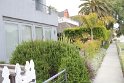 IMG_3802
