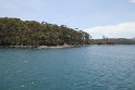 IMG_4731